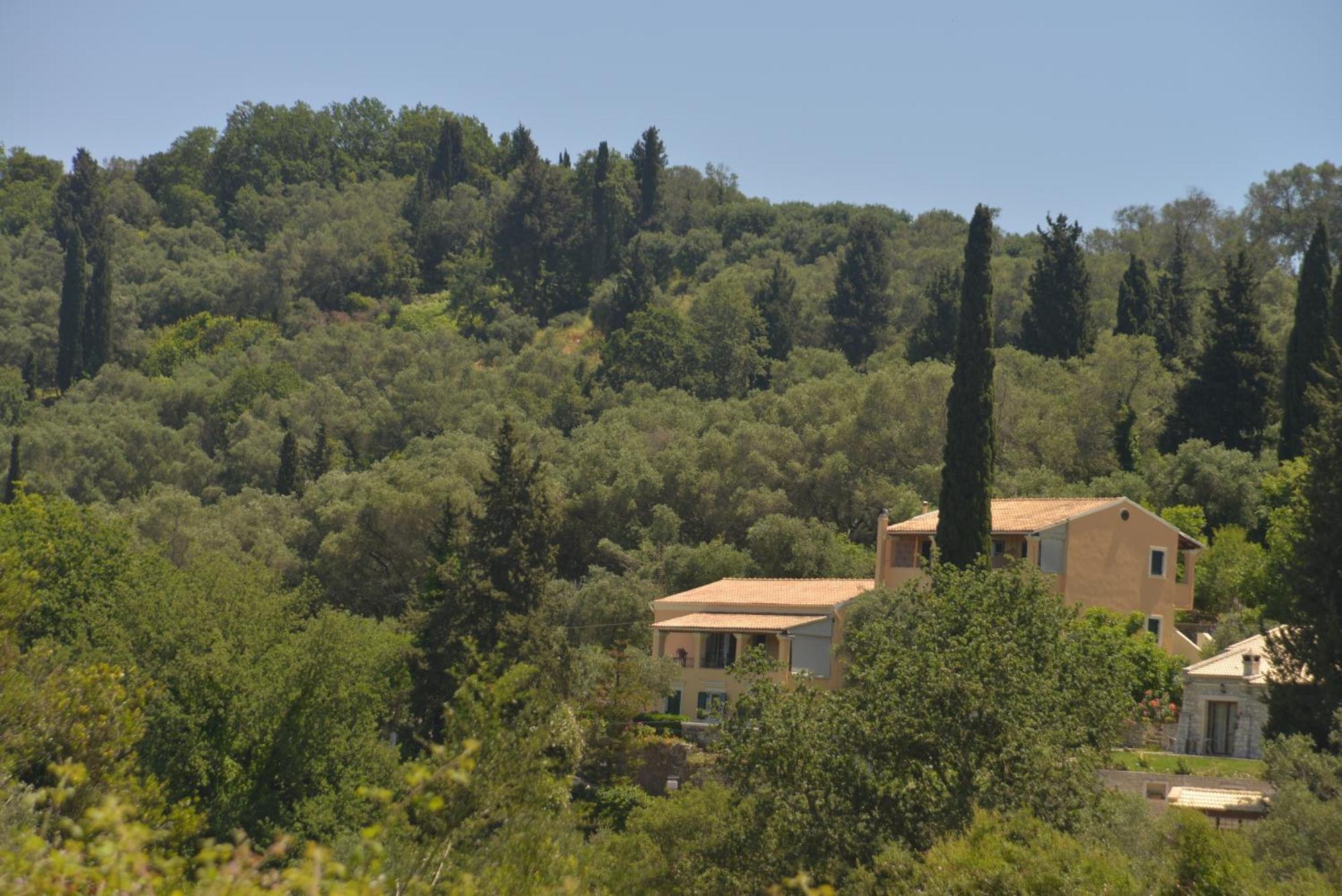 Georgia Apartments & Studios Corfu Glyfada  Room photo