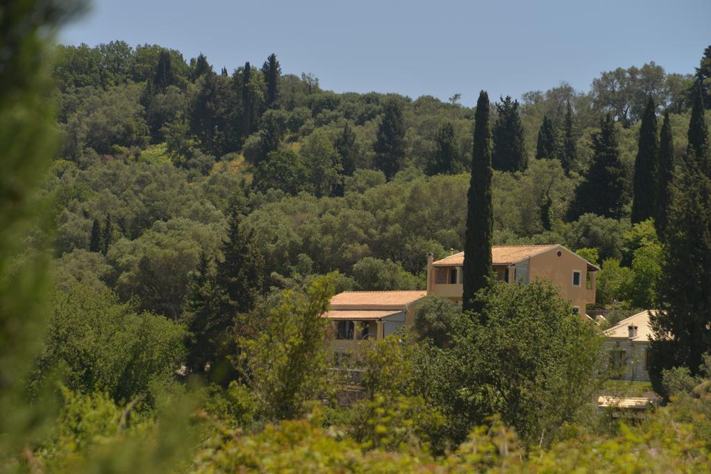 Georgia Apartments & Studios Corfu Glyfada  Exterior photo
