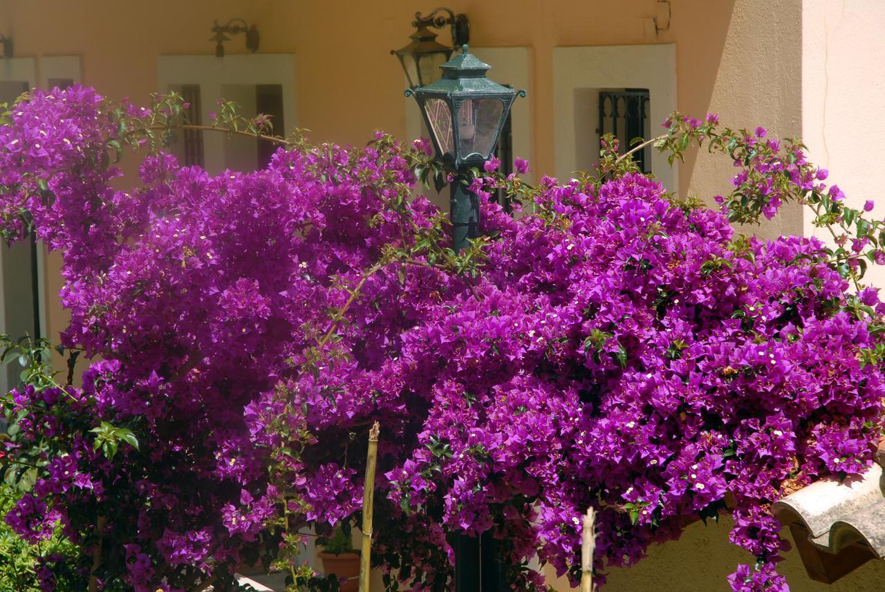 Georgia Apartments & Studios Corfu Glyfada  Exterior photo